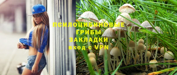 прущий лед Валдай