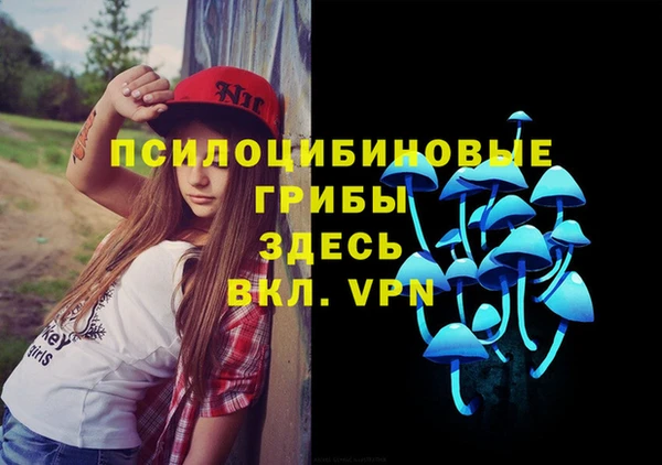 стаф Аша