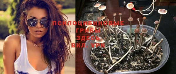 хмурый Весьегонск